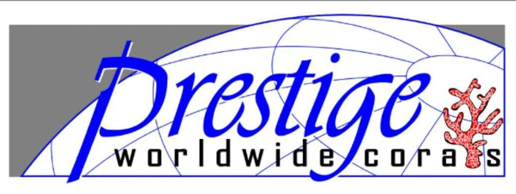 Softies Mints Auctions – Page 2 – Prestige Worldwide Corals